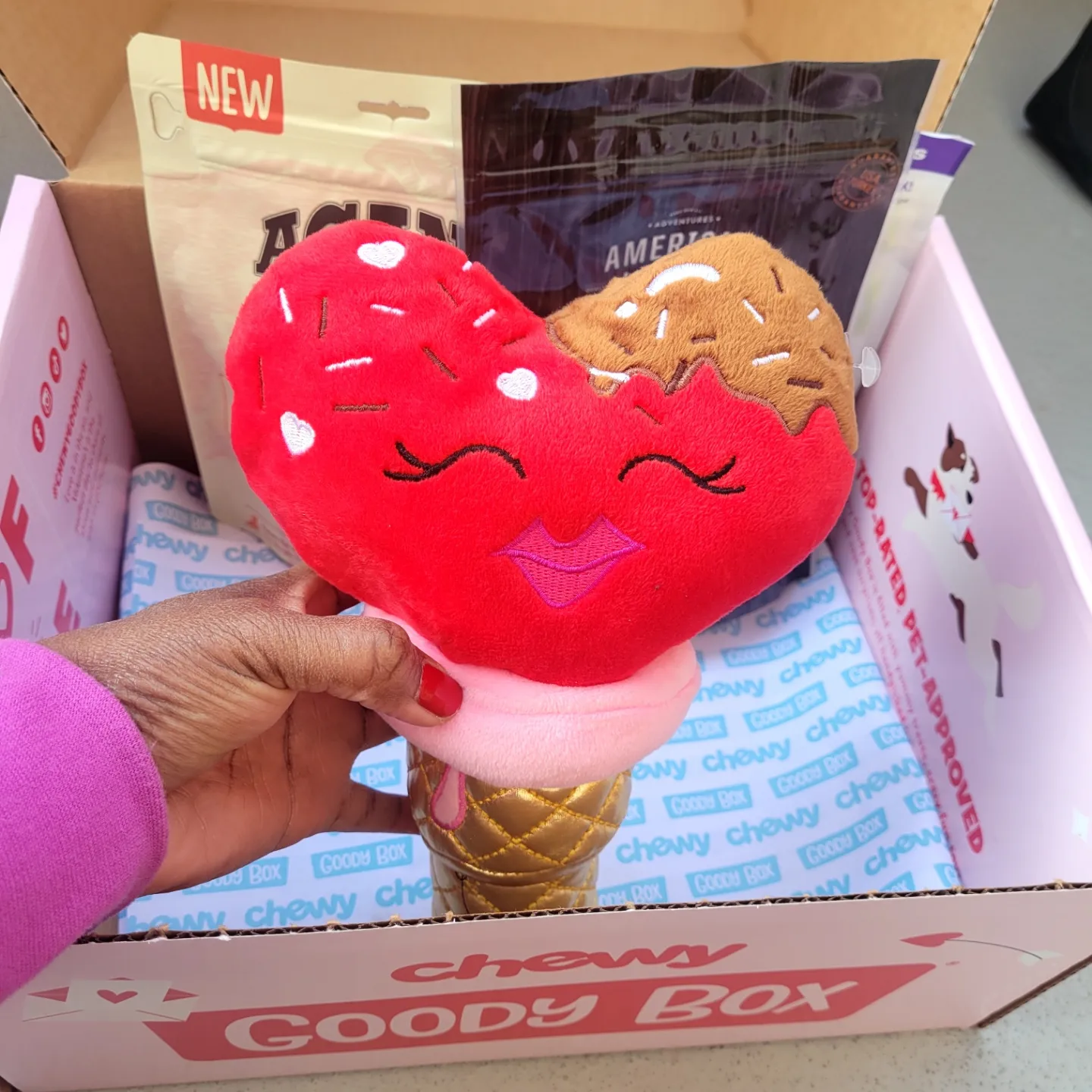 Chewy Goody-Box for my Valentine!