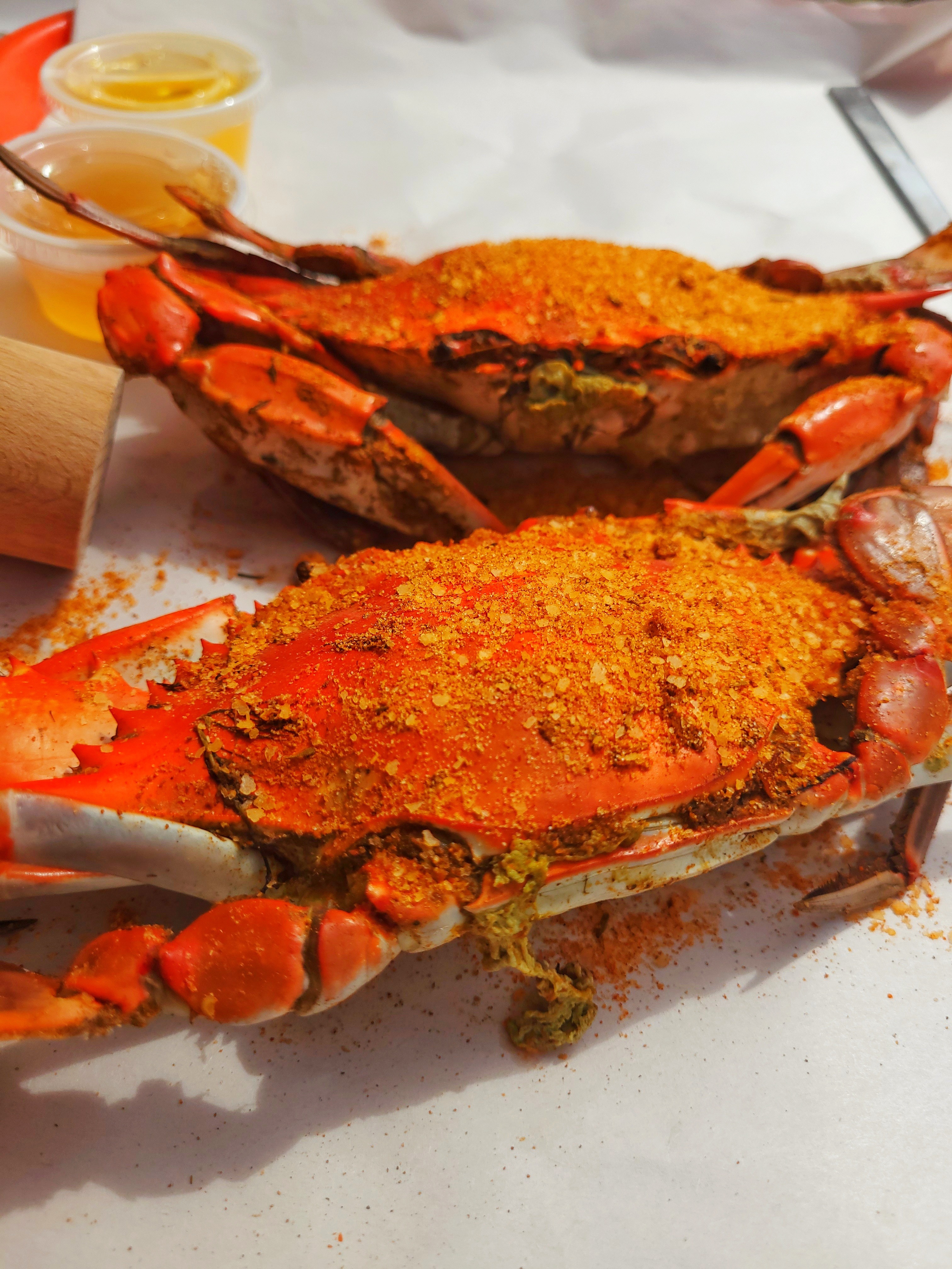 Belly Busters, Ocean-City so nice you will want to visit twice!