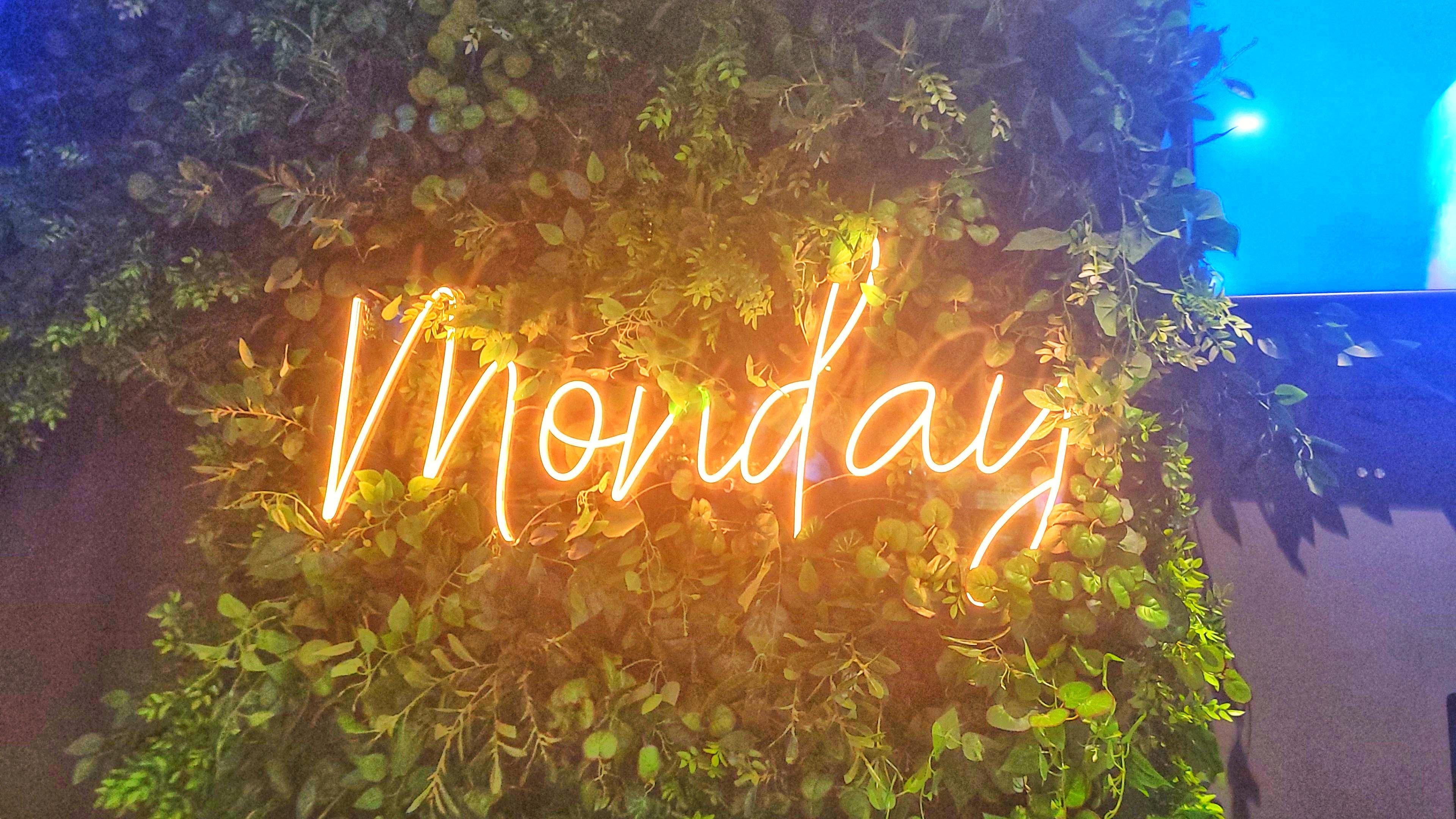 This Is One Monday You Would Love!